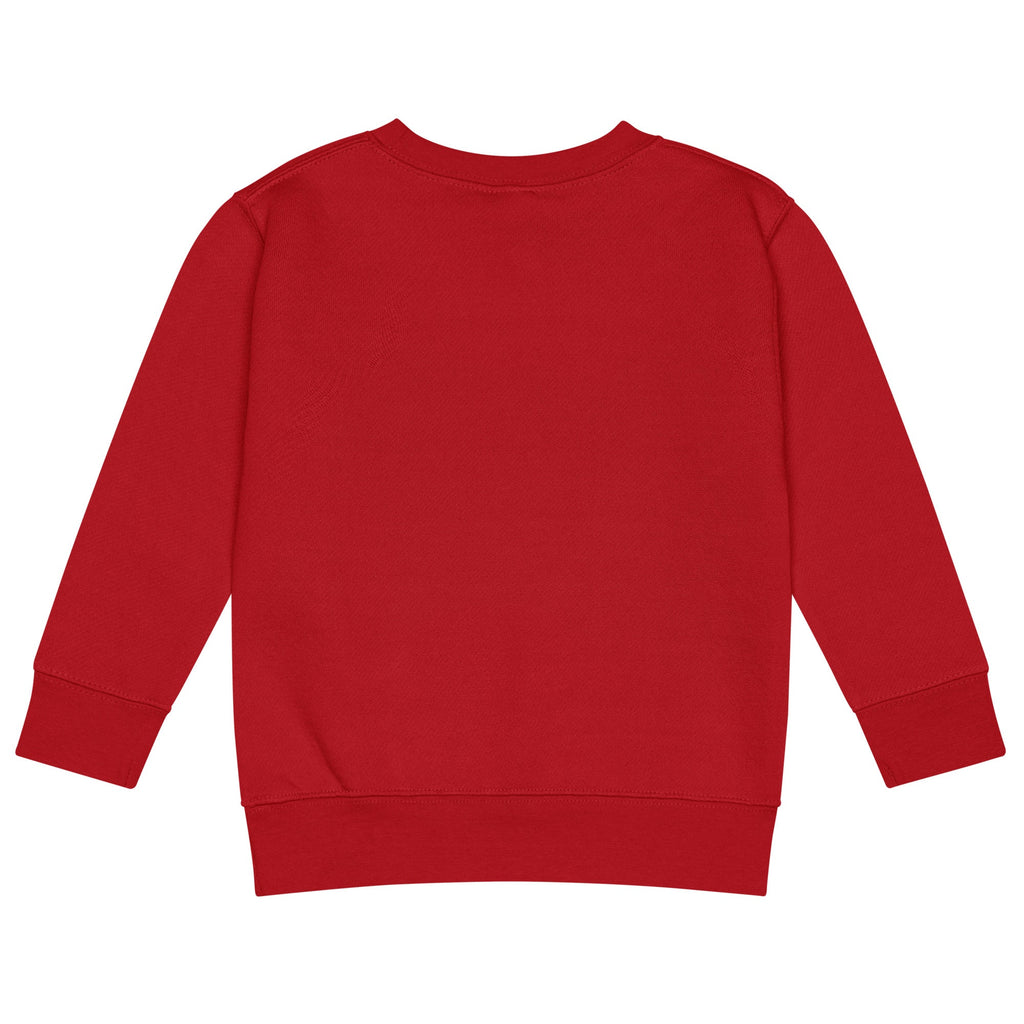 Kids Crew Neck Sweatshirt | Cozy & Faith - Inspired - His World For Us