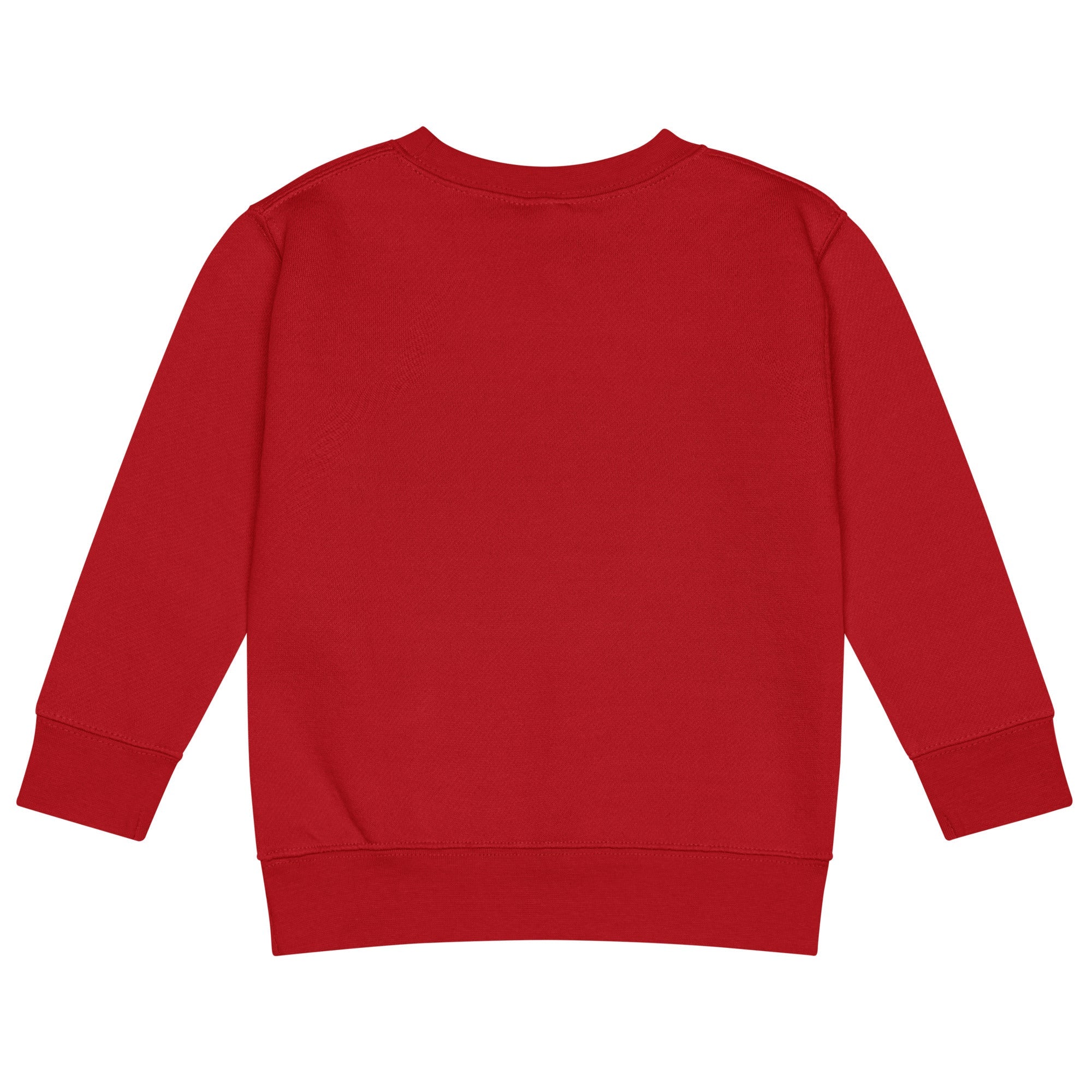 Kids Crew Neck Sweatshirt | Cozy & Faith - Inspired - His World For Us