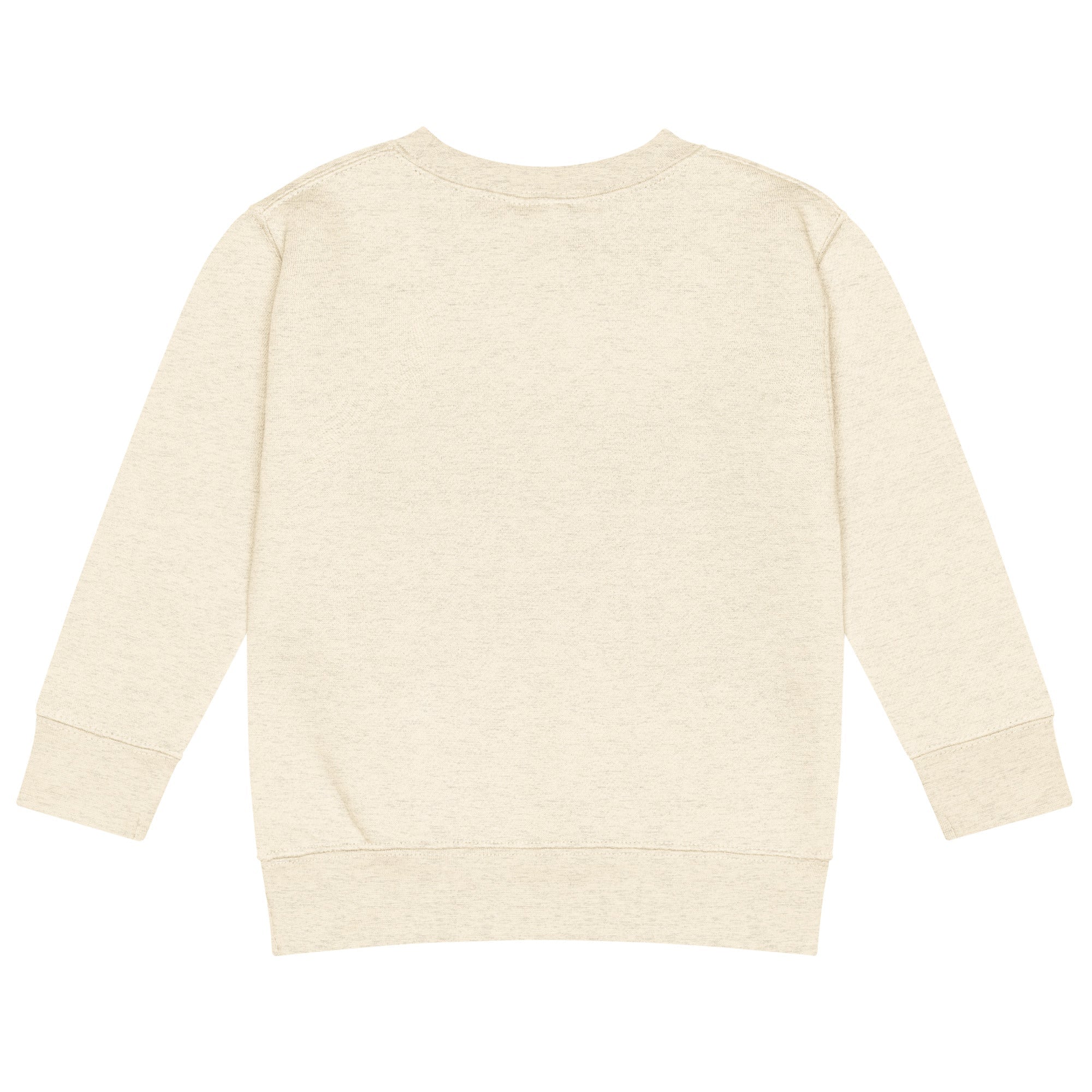 Kids Crew Neck Sweatshirt | Faith - Inspired Style - His World For Us