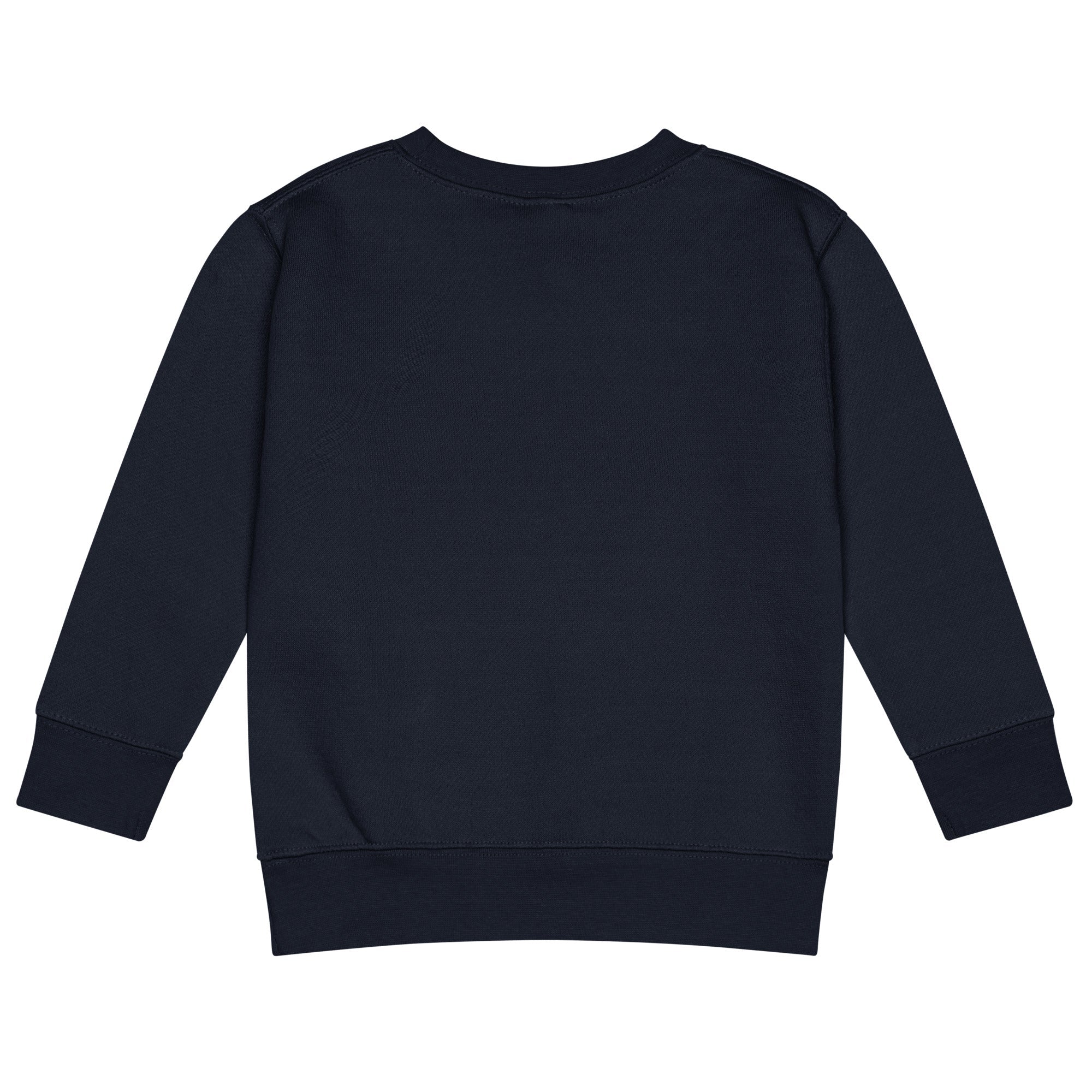 Kids Crew Neck Sweatshirt | Faith - Inspired Style - His World For Us